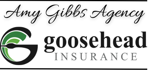 Amy Gibbs - Goosehead Insurance