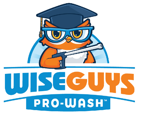 WiseGuys Pro-Wash