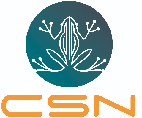 CSN - Computer Solutions & Networking