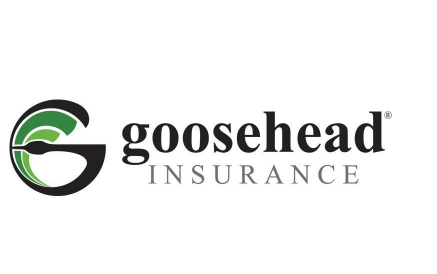 Goosehead Insurance
